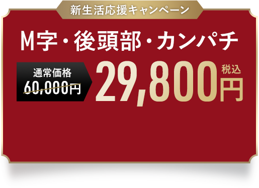 新生活応援キャンペーン M字・後頭部・カンパチ 29,800円